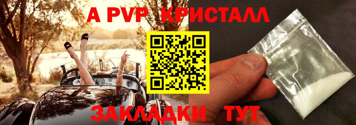 Alfa_PVP СК Владимир