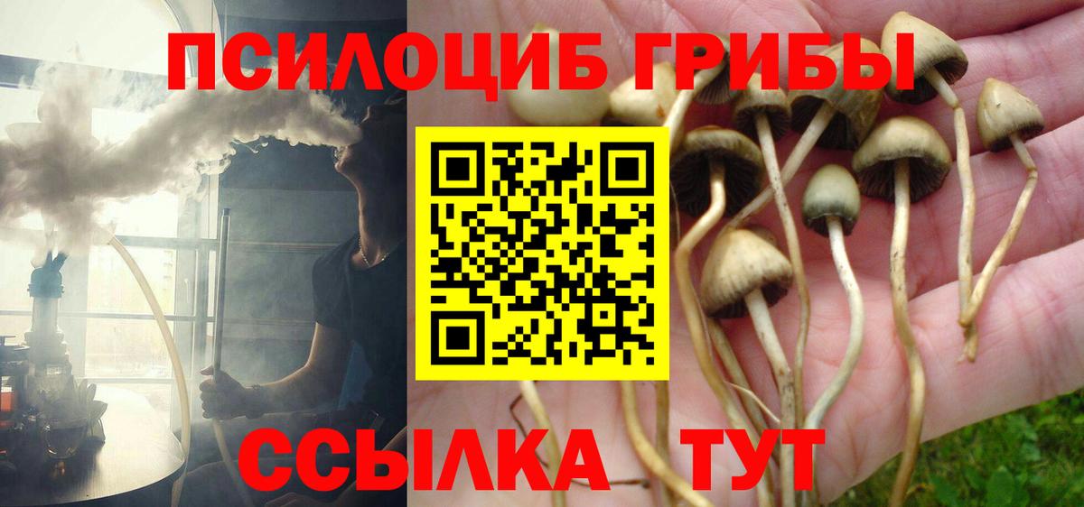 Псилоцибиновые грибы мухоморы Владимир