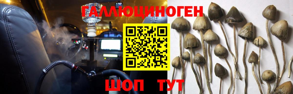 Псилоцибиновые грибы мицелий  Галлюциногенные грибы Psilocybe  Вход с VPN  Владимир 